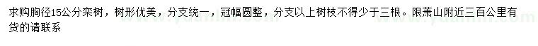 求購胸徑15公分欒樹