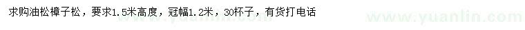 求購高1.5米油松樟子松