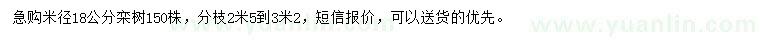 求購米徑18公分欒樹