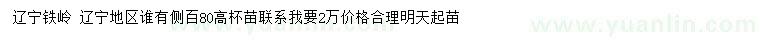 求購高80公分側(cè)柏