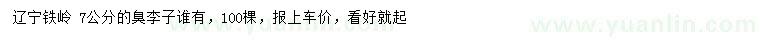 求購7公分臭李子