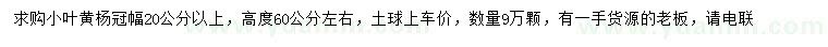 求購冠幅20公分以上小葉黃楊