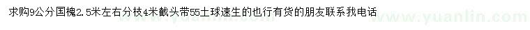 求購9公分國槐