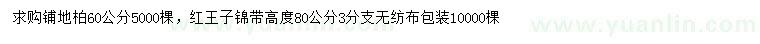 求購60公分鋪地柏、高80公分紅王子錦帶