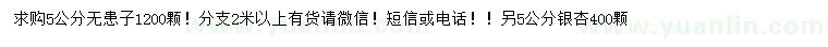 求購5公分無患子、銀杏