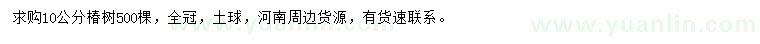 求購10公分椿樹