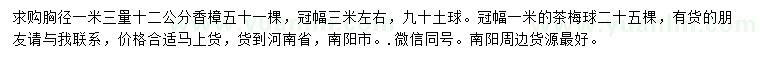求購胸徑1.3米量12公分香樟