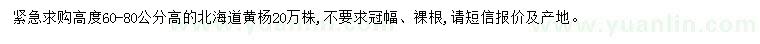 求購(gòu)高60-80公分北海道黃楊