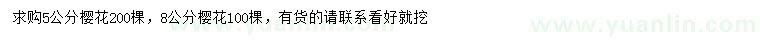 求購5、8公分櫻花