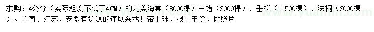求購北美海棠、法桐、垂柳等