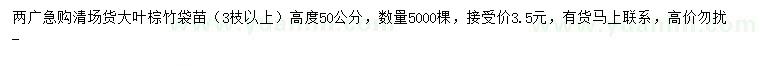 求購高50公分大葉棕竹
