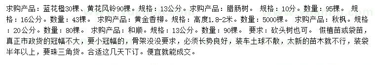 求購藍花楹、臘腸樹、黃金香柳等