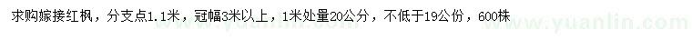 求購1米處量20公分嫁接紅楓