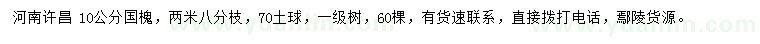 求購10公分國槐