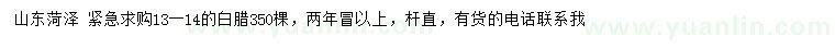 求購13-14公分白臘