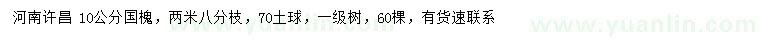 求購10公分國槐