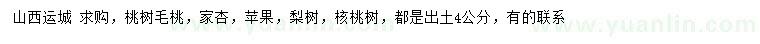 求購桃樹毛桃、家杏、蘋果等