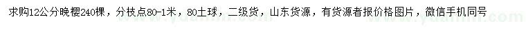 求購(gòu)12公分晚櫻