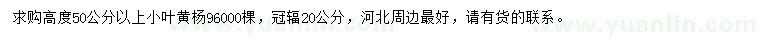 求購高度50公分以上小葉黃楊