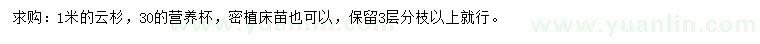求購(gòu)1米云杉