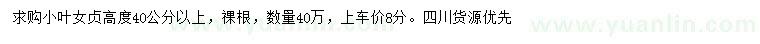 求購高40公分以上小葉女貞