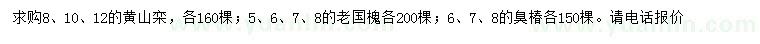 求購黃山欒、老國槐、臭椿