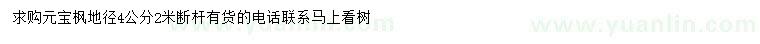 求購地徑4公分元寶楓