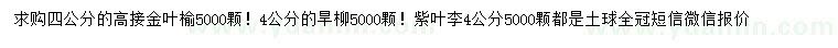 求購金葉榆、旱柳、紫葉李