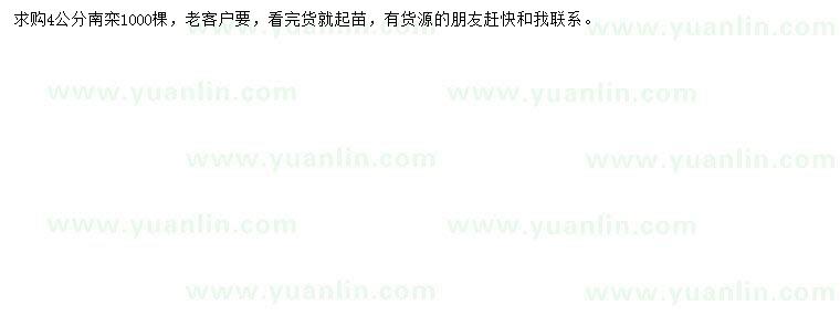 求購4公分南欒