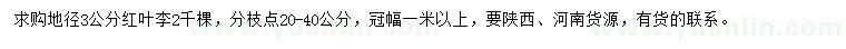 求購地徑3公分紅葉李