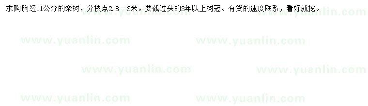求購胸徑11公分欒樹