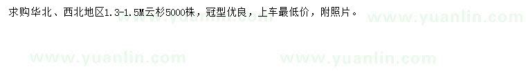 求購1.3-1.5米云杉