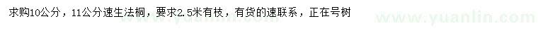 求購(gòu)10、11公分速生法桐