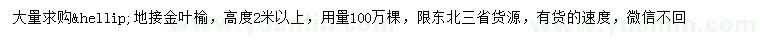求購高2米以上地接金葉榆