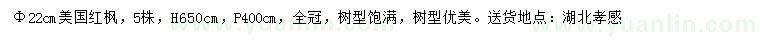 求購米徑22公分美國紅楓