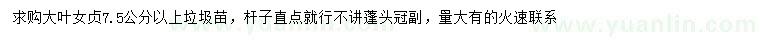 求購(gòu)7.5公分以上大葉女貞