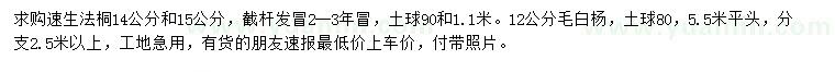 求購14、15公分速生法桐、12公分毛白楊
