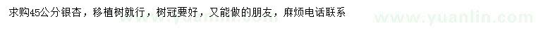 求購45公分銀杏
