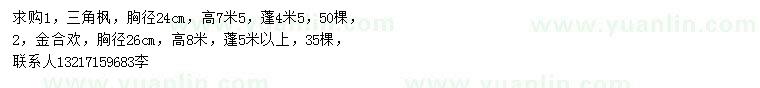求購24公分三角楓、26公分金合歡
