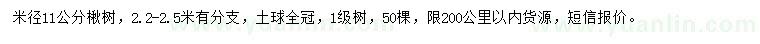 求購米徑11公分楸樹