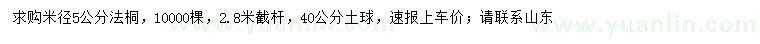 求購米徑5公分法桐