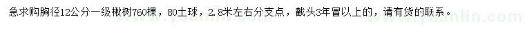 求購胸徑12公分楸樹