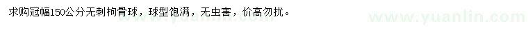 求購冠幅150公分無刺枸骨球