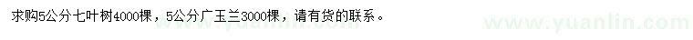 求購5公分七葉樹、廣玉蘭