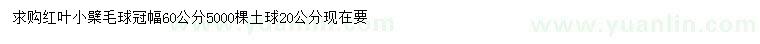 求購冠幅60公分紅葉小檗毛球