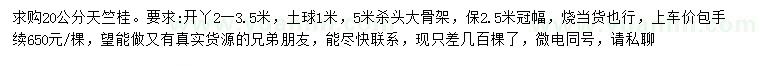 求購20公分天竺桂