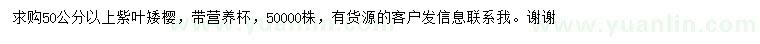 求購50公分以上紫葉矮櫻