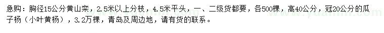 求購胸徑15公分黃山欒、高40公分瓜子黃楊