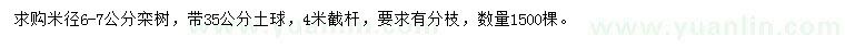 求購米徑6-7公分欒樹