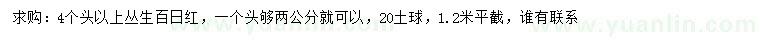 求購4公分以上叢生百日紅